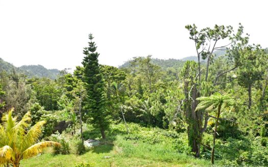 SALTAUN – 2.5 Storey, 4 Bedroom, Uniquely Designed Home On 0.48 Acre