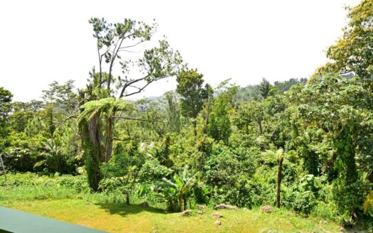 SALTAUN – 2.5 Storey, 4 Bedroom, Uniquely Designed Home On 0.48 Acre