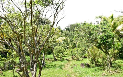 SALTAUN – 2.5 Storey, 4 Bedroom, Uniquely Designed Home On 0.48 Acre