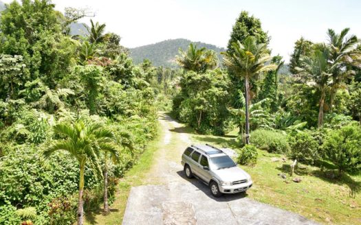 SALTAUN – 2.5 Storey, 4 Bedroom, Uniquely Designed Home On 0.48 Acre