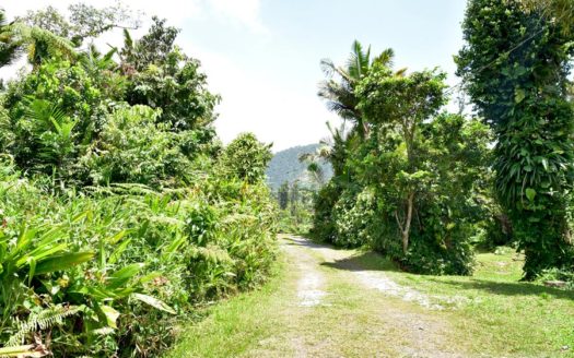 SALTAUN – 2.5 Storey, 4 Bedroom, Uniquely Designed Home On 0.48 Acre