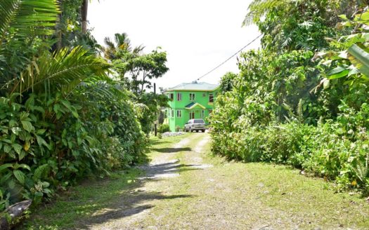 SALTAUN – 2.5 Storey, 4 Bedroom, Uniquely Designed Home On 0.48 Acre