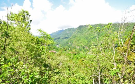 LAYOU HEIGHTS – 20 Acres Approximately Of Residential Development Land With Sea Views
