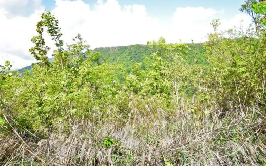 LAYOU HEIGHTS – 20 Acres Approximately Of Residential Development Land With Sea Views