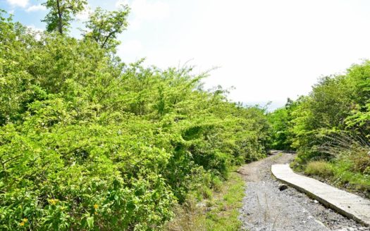 LAYOU HEIGHTS – 20 Acres Approximately Of Residential Development Land With Sea Views