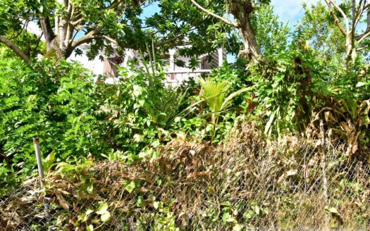 CASTLE BRUCE – Cozy Bungalow With Outbuilding Offering Magnificent Views