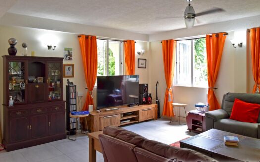 COPTHALL – 4 Bedroom 2.5 Storey Elegant Home + Vehicle and Furnishing On 5,232.sq.ft.