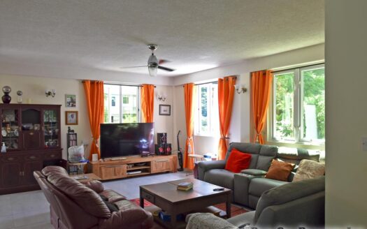 COPTHALL – 4 Bedroom 2.5 Storey Elegant Home + Vehicle and Furnishing On 5,232.sq.ft.