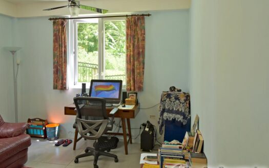 COPTHALL – 4 Bedroom 2.5 Storey Elegant Home + Vehicle and Furnishing On 5,232.sq.ft.