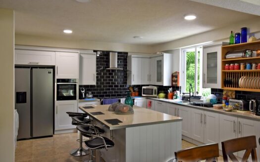 COPTHALL – 4 Bedroom 2.5 Storey Elegant Home + Vehicle and Furnishing On 5,232.sq.ft.