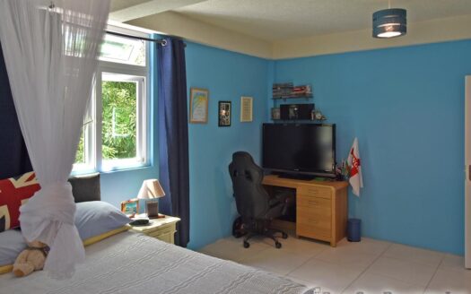 COPTHALL – 4 Bedroom 2.5 Storey Elegant Home + Vehicle and Furnishing On 5,232.sq.ft.