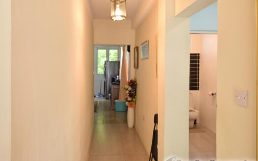 COPTHALL – 4 Bedroom 2.5 Storey Elegant Home + Vehicle and Furnishing On 5,232.sq.ft.