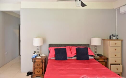 COPTHALL – 4 Bedroom 2.5 Storey Elegant Home + Vehicle and Furnishing On 5,232.sq.ft.