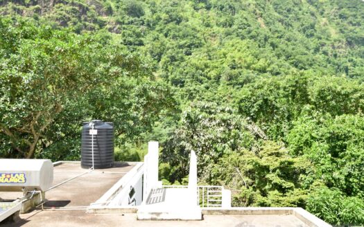 COPTHALL – 4 Bedroom 2.5 Storey Elegant Home + Vehicle and Furnishing On 5,232.sq.ft.