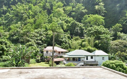 COPTHALL – 4 Bedroom 2.5 Storey Elegant Home + Vehicle and Furnishing On 5,232.sq.ft.