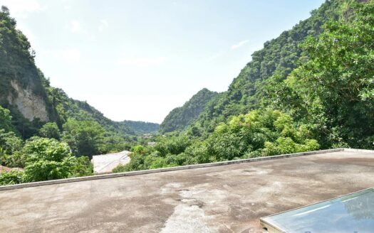 COPTHALL – 4 Bedroom 2.5 Storey Elegant Home + Vehicle and Furnishing On 5,232.sq.ft.