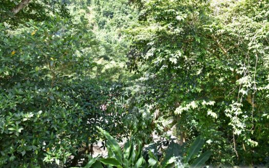 COPTHALL – 4 Bedroom 2.5 Storey Elegant Home + Vehicle and Furnishing On 5,232.sq.ft.