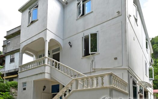 COPTHALL – 4 Bedroom 2.5 Storey Elegant Home + Vehicle and Furnishing On 5,232.sq.ft.