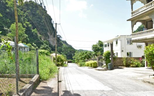 COPTHALL – 4 Bedroom 2.5 Storey Elegant Home + Vehicle and Furnishing On 5,232.sq.ft.