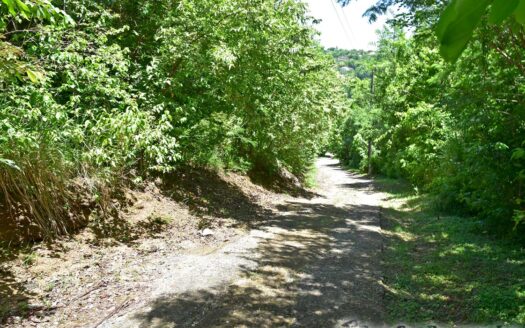 Content Estate (near River Estate, Upper Canefield) – 19.50 Acres Of Spectacular Sea View Development Land