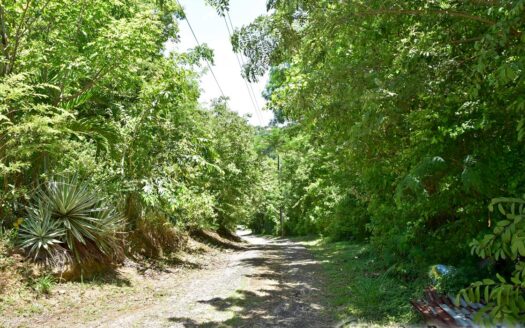 Content Estate (near River Estate, Upper Canefield) – 19.50 Acres Of Spectacular Sea View Development Land