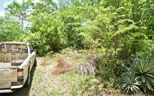 Content Estate (near River Estate, Upper Canefield) – 19.50 Acres Of Spectacular Sea View Development Land