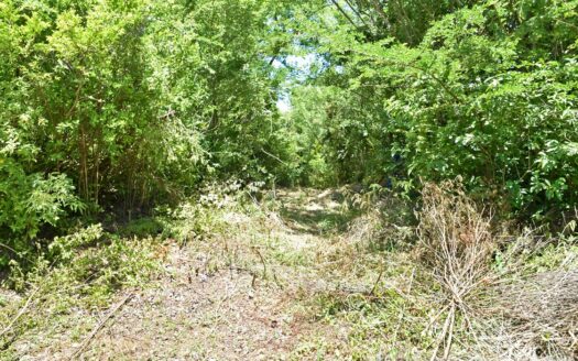 Content Estate (near River Estate, Upper Canefield) – 19.50 Acres Of Spectacular Sea View Development Land