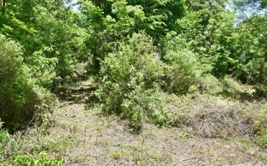 Content Estate (near River Estate, Upper Canefield) – 19.50 Acres Of Spectacular Sea View Development Land