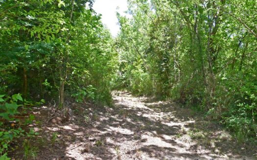 Content Estate (near River Estate, Upper Canefield) – 19.50 Acres Of Spectacular Sea View Development Land