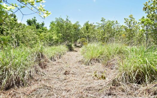 Content Estate (near River Estate, Upper Canefield) – 19.50 Acres Of Spectacular Sea View Development Land