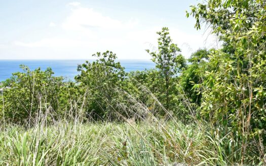 Content Estate (near River Estate, Upper Canefield) – 19.50 Acres Of Spectacular Sea View Development Land