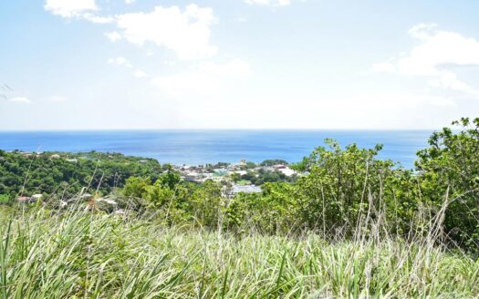 Content Estate (near River Estate, Upper Canefield) – 19.50 Acres Of Spectacular Sea View Development Land
