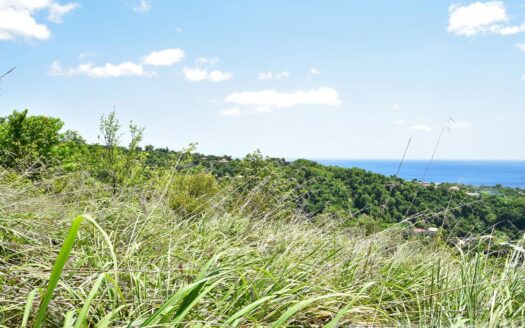 Content Estate (near River Estate, Upper Canefield) – 19.50 Acres Of Spectacular Sea View Development Land