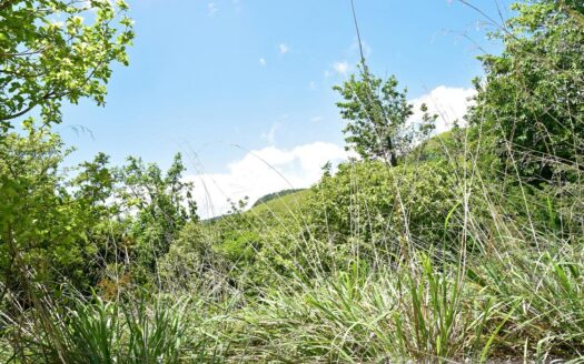 Content Estate (near River Estate, Upper Canefield) – 19.50 Acres Of Spectacular Sea View Development Land