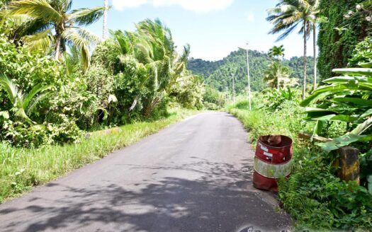 NEWFOUNDLAND – 3.30 Acre Nature Slice With Sea & Mountain View