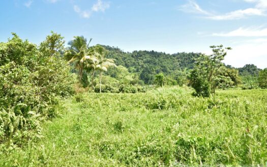 NEWFOUNDLAND – 3.30 Acre Nature Slice With Sea & Mountain View