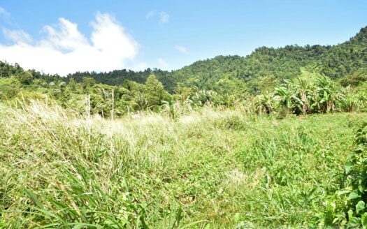 NEWFOUNDLAND – 3.30 Acre Nature Slice With Sea & Mountain View