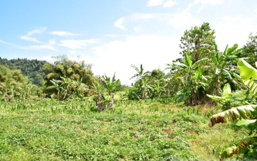 NEWFOUNDLAND – 3.30 Acre Nature Slice With Sea & Mountain View