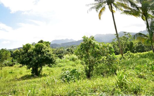 NEWFOUNDLAND – 3.30 Acre Nature Slice With Sea & Mountain View