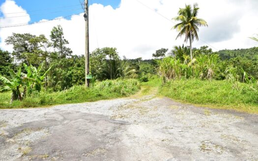 New Venture, BELLES – 5.23 Acres Of Prime Agricultural Land
