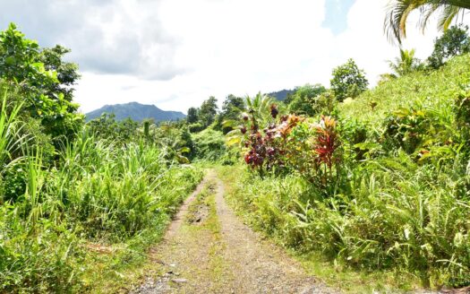 New Venture, BELLES – 5.23 Acres Of Prime Agricultural Land