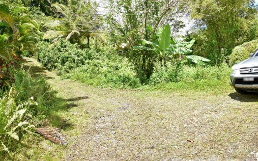 New Venture, BELLES – 5.23 Acres Of Prime Agricultural Land