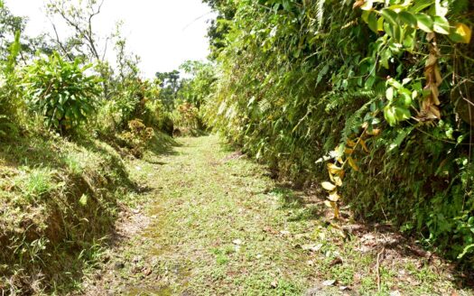 New Venture, BELLES – 5.23 Acres Of Prime Agricultural Land