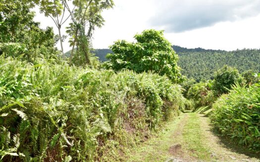 New Venture, BELLES – 5.23 Acres Of Prime Agricultural Land