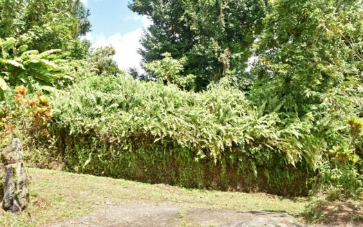 New Venture, BELLES – 5.23 Acres Of Prime Agricultural Land