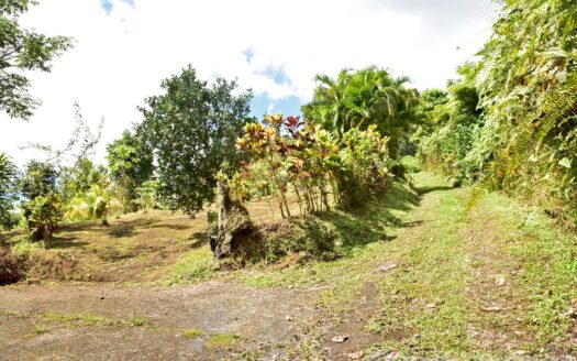 New Venture, BELLES – 5.23 Acres Of Prime Agricultural Land