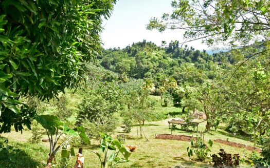 LA PLAINE – Nature Paradise, 3.86 Acre Organic Farm Bounding River With Sea View