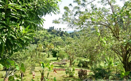 LA PLAINE – Nature Paradise, 3.86 Acre Organic Farm Bounding River With Sea View