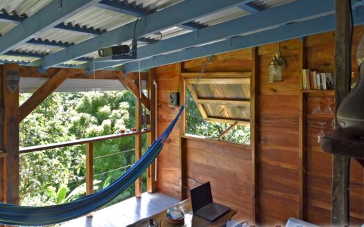 LA PLAINE – Nature Paradise, 3.86 Acre Organic Farm Bounding River With Sea View