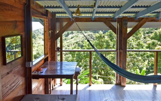 LA PLAINE – Nature Paradise, 3.86 Acre Organic Farm Bounding River With Sea View